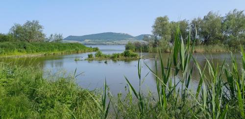 Ubytování Na sklepě u Procházků