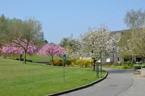 Auberge des 3 Fontaines - image 5