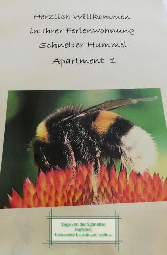 Schnetter Hummel, Apartment 1