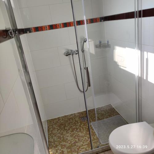 Apartament pod Lipą