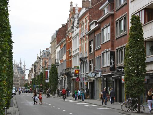 נוף, Ambassador Suites Leuven in Leuven