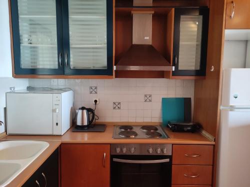 Bright, Beachfront Apartment with free parking and garden, Vourvourou (fotografie 6)