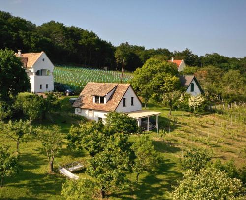 Cheerful Cottage at Balatonfelvidek Dörgicse