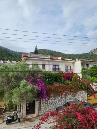 Olive apartments studio - Apartment - Fethiye