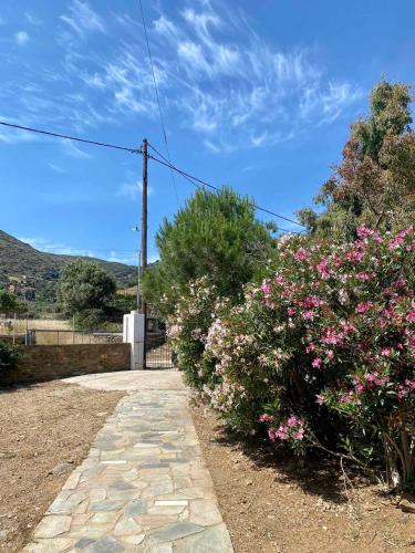 Cycladic Blue Andros Villa