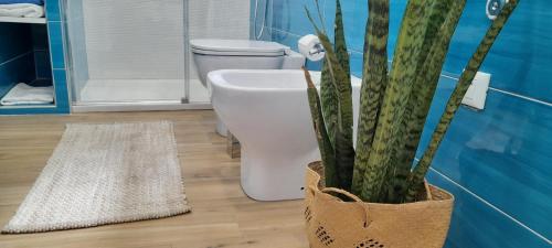 Terra Sinus Beautiful Suite