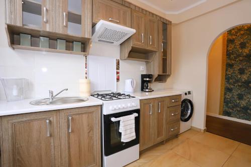 廚房, Apartament Stary Zdrój (Apartament Stary Zdroj) in 瓦烏布日赫