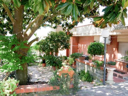 Le Magnolie Paliano appartamento 120 mq
