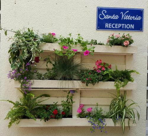 Hotel de la Plage Santa Vittoria - image 5
