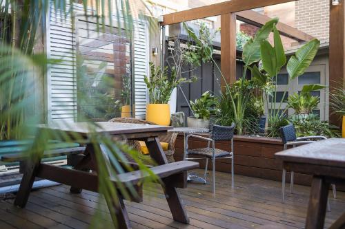 สวน, ลอนดอน เพลน แบ็คแพ็คเกอร์ส (London Plane Backpackers) in พอตส์ พอยต์