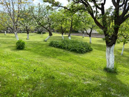 Chkalovka Guest House With Sevan View