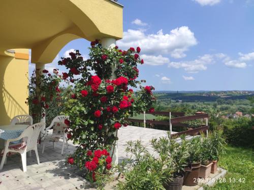  Flora Villa in Hévíz
