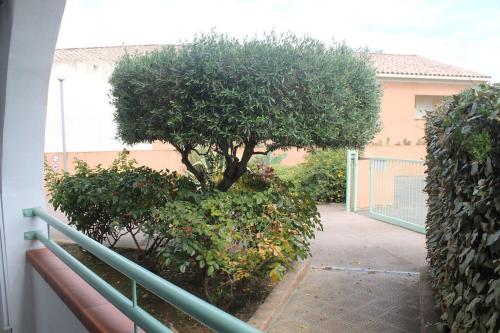 Grazioso bilocale a 200 m dal mare in residence con piscina e WI-FI Grazioso bilocale a 200 m dal mare in residence con piscina e WI-FI