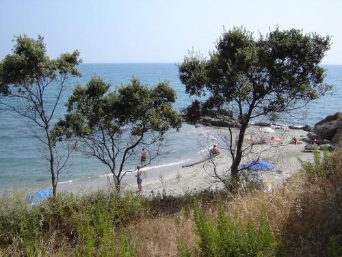 Grazioso bilocale a 200 m dal mare in residence con piscina e WI-FI Grazioso bilocale a 200 m dal mare in residence con piscina e WI-FI