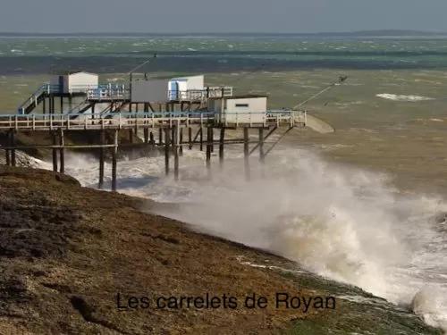 Entre plage et marais