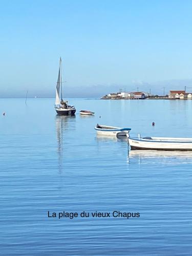 Entre plage et marais