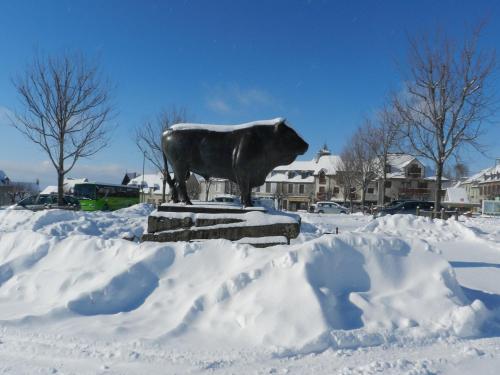 Appart'Aubrac in Laguiole