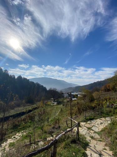 Mountain Houses in a Permaculture Farm - Unique