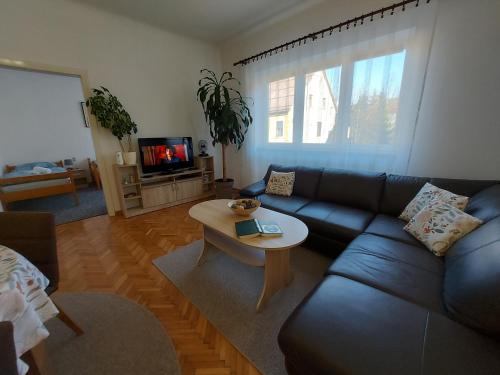 Apartman Tinče