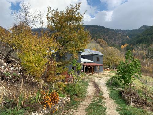 Mountain Houses in a Permaculture Farm - Unique