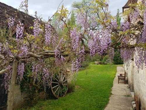 Le Moulin de Jules et Akasha