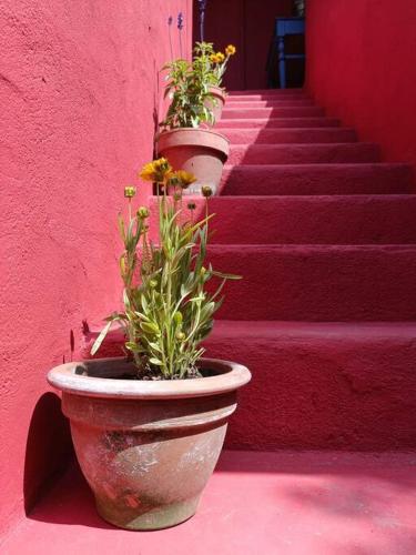 Logement de charme climatisé au cœur de la Provence