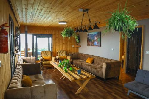 Aurora Golan in Majdal Shams