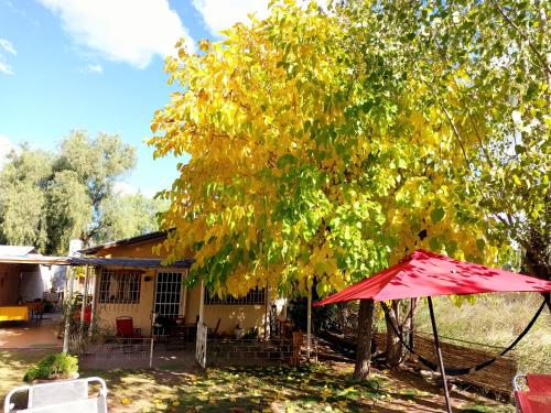 La Pepita, Ciudad Lujan de Cuyo