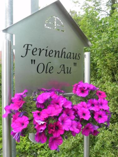 Ferienhaus "Ole Au", Ferienwohnung, Monteure, Unterkunft