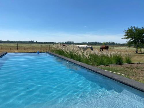 景觀, LAS VERTIENTES in 卡皮亞德爾塞尼奧爾