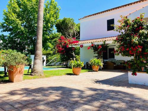 Villa América Chalet Independiente con Piscina en Urbanización Roche Conil Cádiz Andalucía España