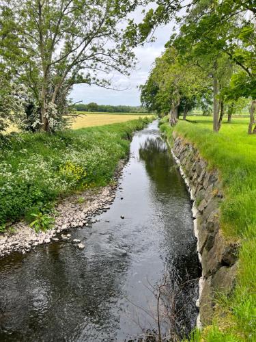 Luxury Croft Templepatrick Near Airport Rabbit and Hilton hotel