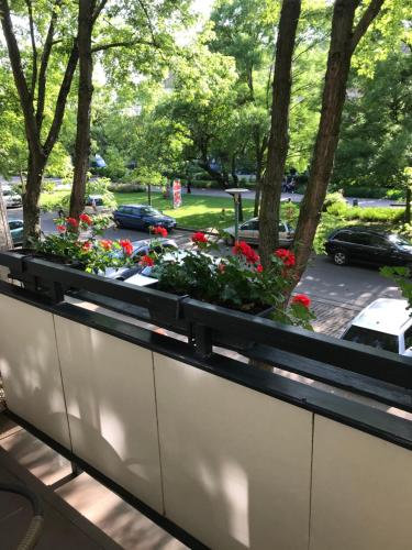 Kozponti apartman in Kalocsa