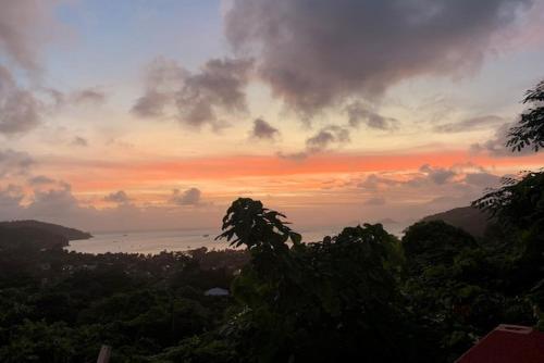 فيلا سيلا فيلا سيلا