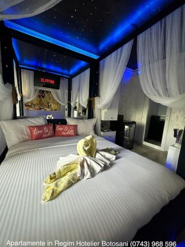 Apartament cu o camera de Lux cu Jacuzzi/Constelatie complet utilat acceptam plata cu cardul de vaca in 博托沙尼