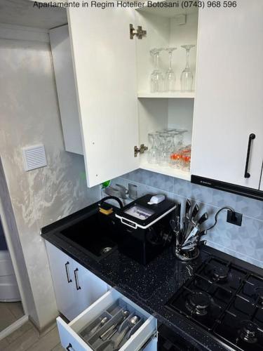 廚房, Apartament cu o camera de Lux cu Jacuzzi/Constelatie complet utilat acceptam plata cu cardul de vaca in 博托沙尼