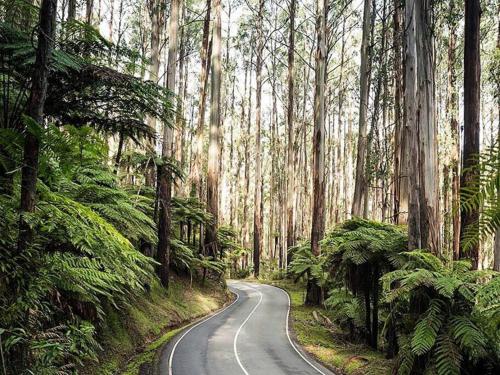 Yarra Valley Tiny House - Tiny Stays in Chum Creek
