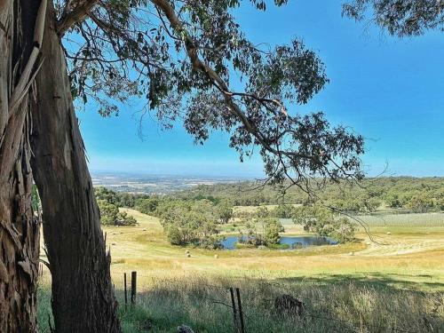 Mornington Peninsula Tiny House - Tiny Stays near Ten Minutes By Tractor Wine Co