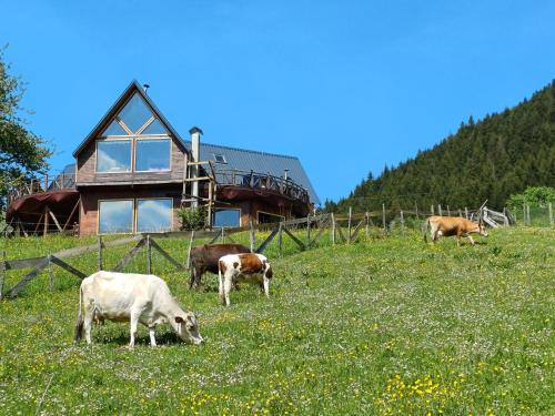  Süllü Dağ Evi in Yavuzkemal