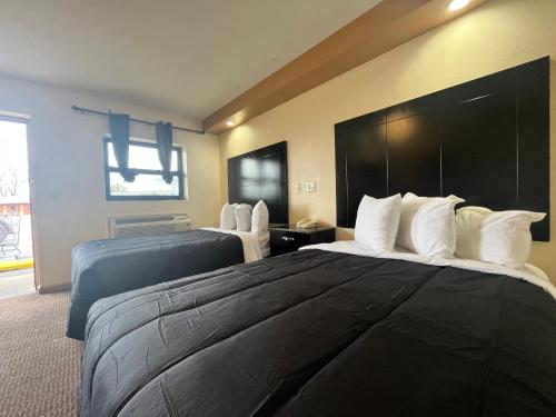 서클 모터 로지