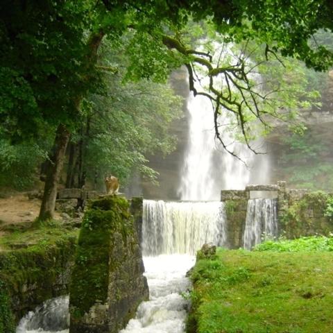 Au Moulin des Fées - image 7