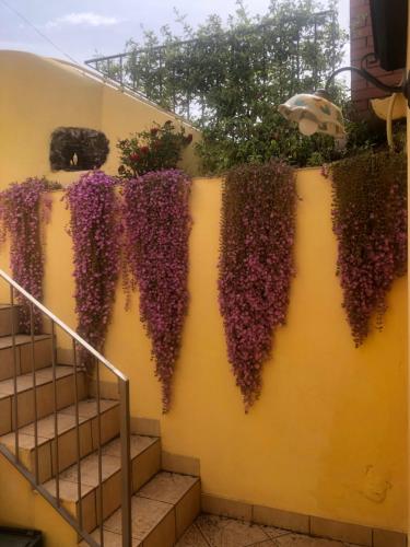  CAMILLA affitta camere in Nicolosi