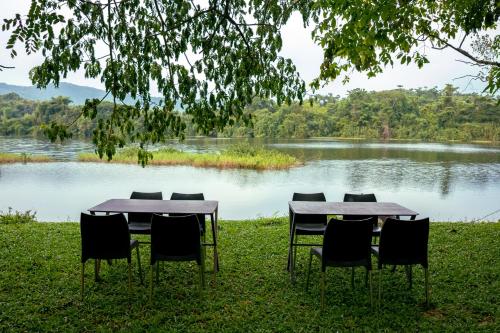 ห้องอาหาร, The Nest Thattekad in โกทามังคาลาม