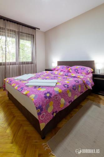 Apartmani Nina S