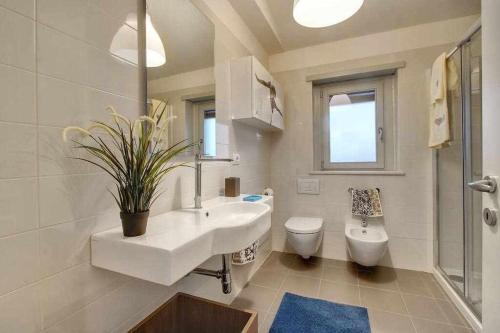 Faenza Elegant - image 10