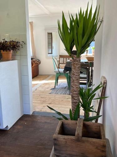 The Old Soap House - stylish and close to beach in Vanga