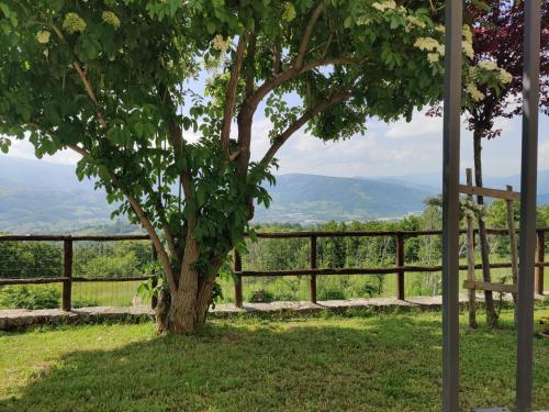  La Busca Country House in Monte Benedetto