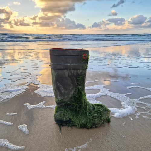 Otoczenie, Nordseeperle Dirkshorn Nordholland, mit Klimaanlage und Sauna in Dirkshorn