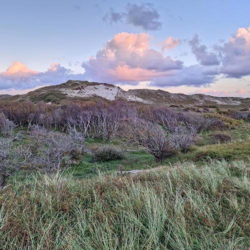 Atrakcje w pobliżu, Nordseeperle Dirkshorn Nordholland, mit Klimaanlage und Sauna in Dirkshorn