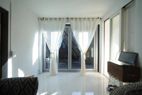 Spring Night Spring Night